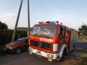 13495354_1386500651367423_6125863746496964778_o